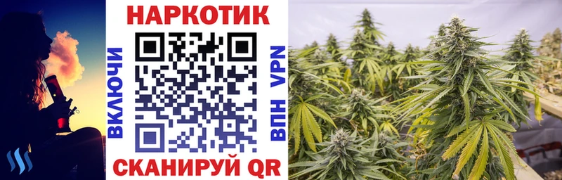 Как найти закладки Шуя COCAIN  МЕТАДОН  мега ссылки  Конопля  Мефедрон  Alpha PVP 