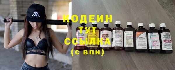молекула духа Медвежьегорск