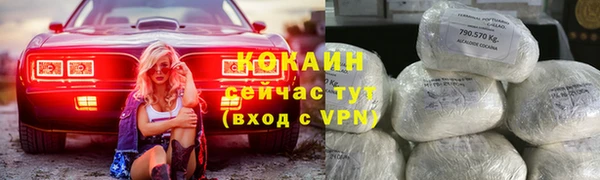 молекула духа Медвежьегорск