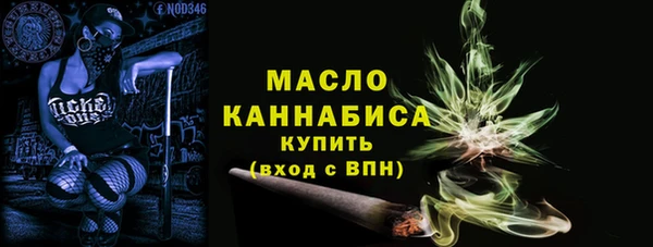 молекула духа Медвежьегорск