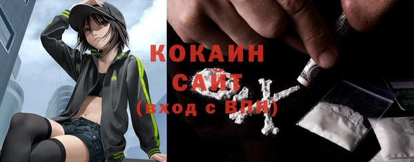 молекула духа Медвежьегорск