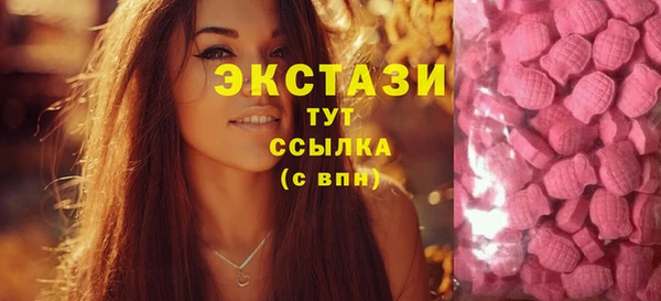 молекула духа Медвежьегорск