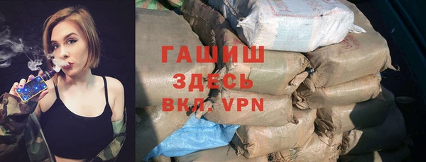 молекула духа Медвежьегорск