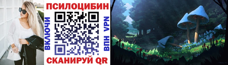 Псилоцибиновые грибы Psilocybe что такое Шуя