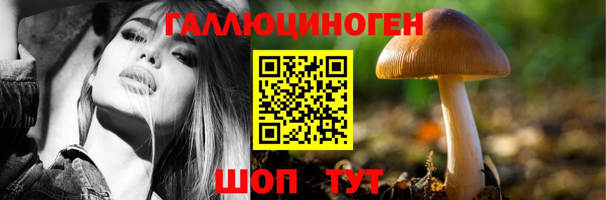 Галлюциногенные грибы Magic Shrooms  Шуя 